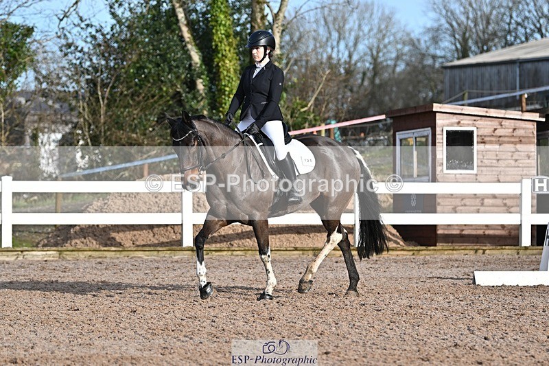 250125-104804-00228 - Dressage - CT Class 4 BE95 (80cm)