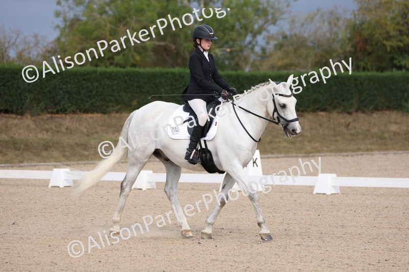 20250819-0821 - Class 1 - Intro 1