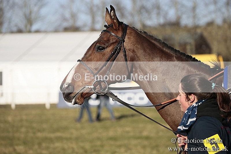 PtP 240218 640 - Vine & Craven Hunt Point-to-Point Barbury racecourse 24/02/18