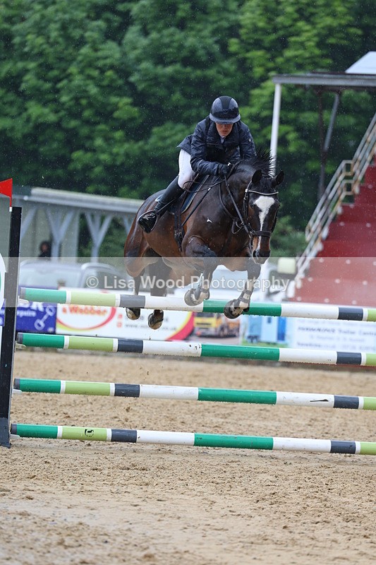 3E7A7444 - Class 8: Senior Foxhunter/1.20 open