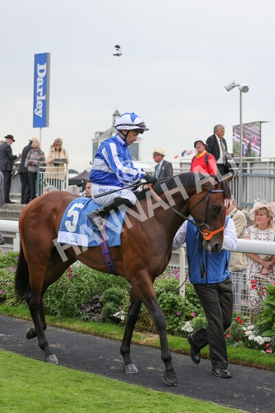 yr19082021r5-6 - Race 5 4.10pm OR8wellness ebfstallions Nursery Handicap