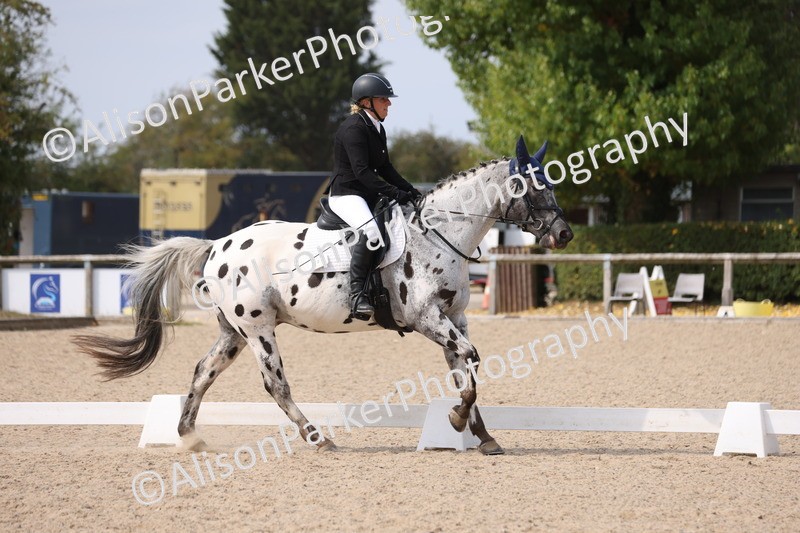 20250819-1584 - Class 5 - Novice 3