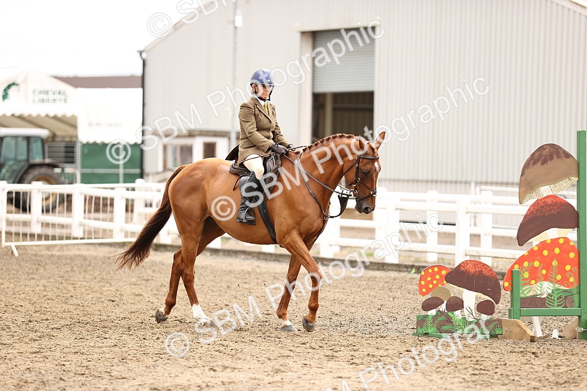SBM_00527 - Class 53 - Ridden Competition Horse Pony
