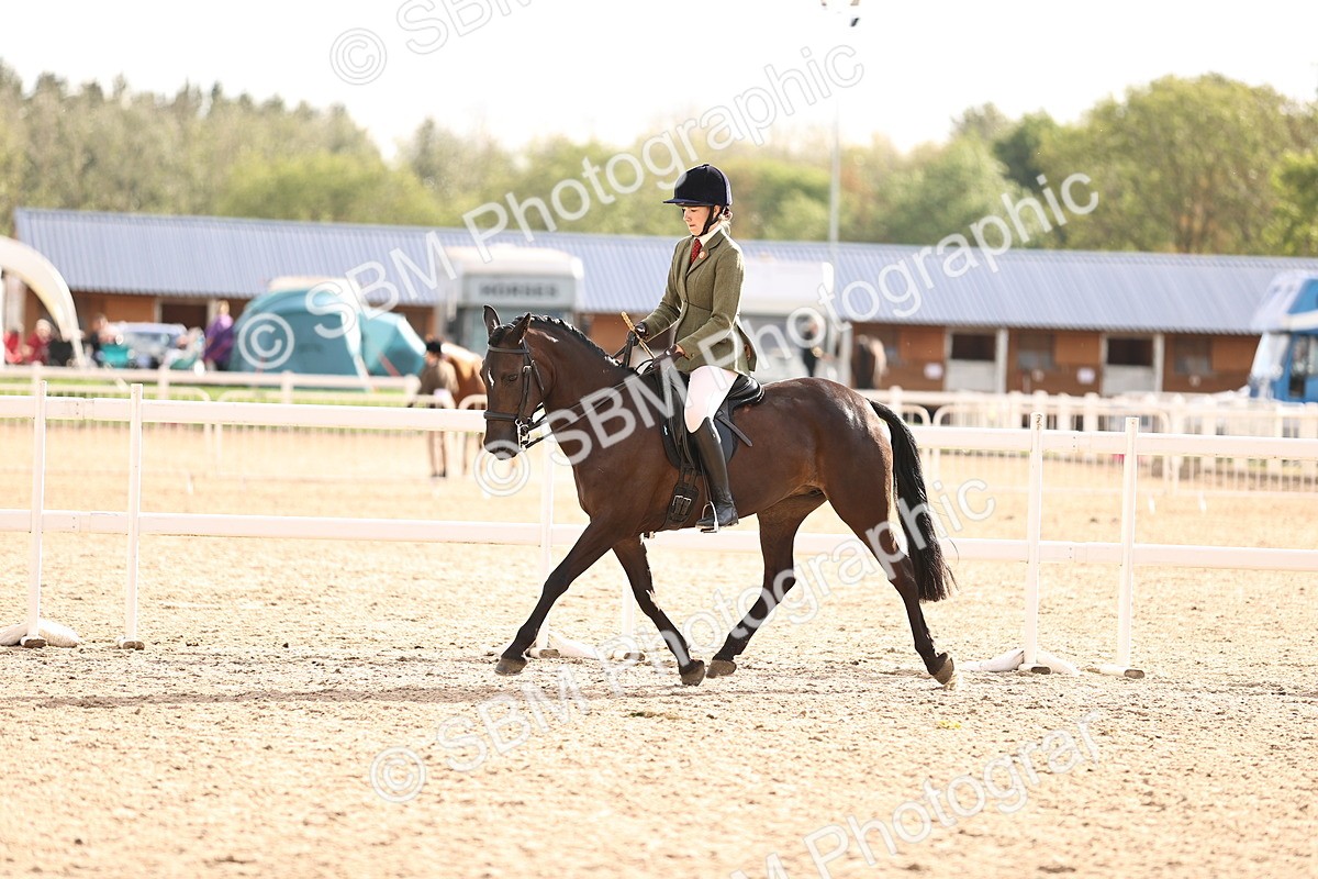 SBM_18241 - Class 423 - Equitation (best rider) Adult