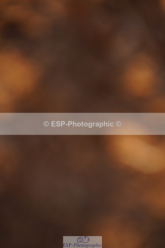 240628A-201456-01257 - Cls 4 1.10m Open