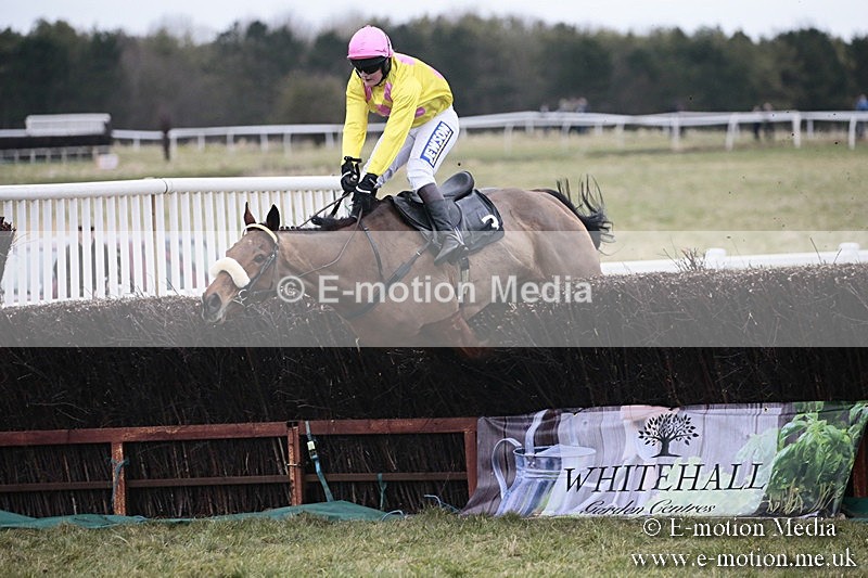 PtP 180218 274 - Combined Services Point-to-Point Larkhill 18/02/18