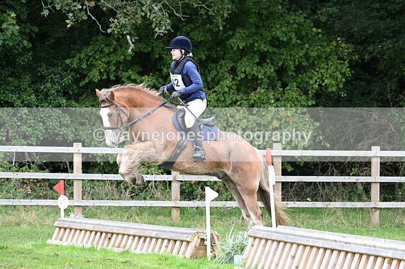 WJ7_7702 - 40cm Time 10:49 to 11:18