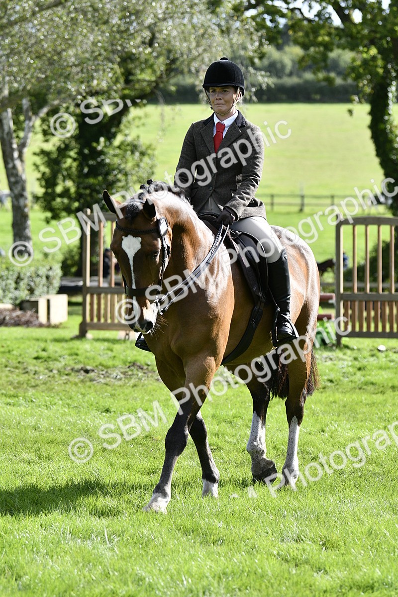 SBM_49977 - S34 - Novice & Newcomers Working Hunter