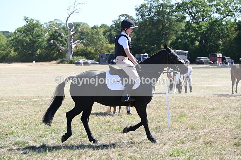 WJ6_8320 - Class 37a Best Loan Pony Ridden