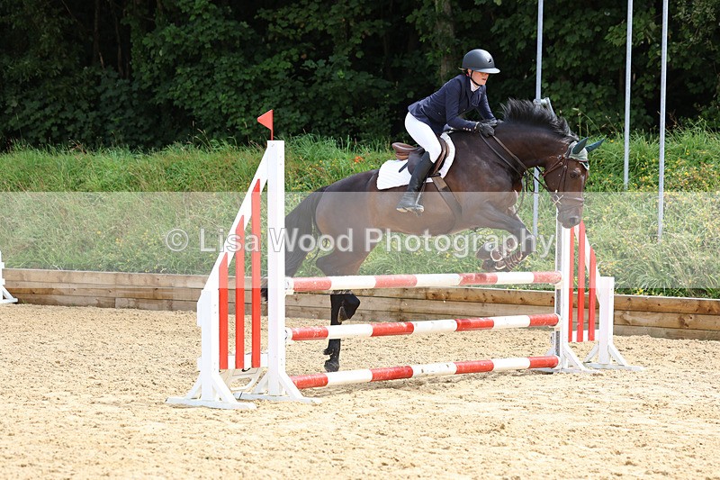 3E7A0008 - Class 9: Senior British Novice/90cm open