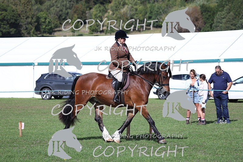 APP_3070 - Class 11 Veterans ridden