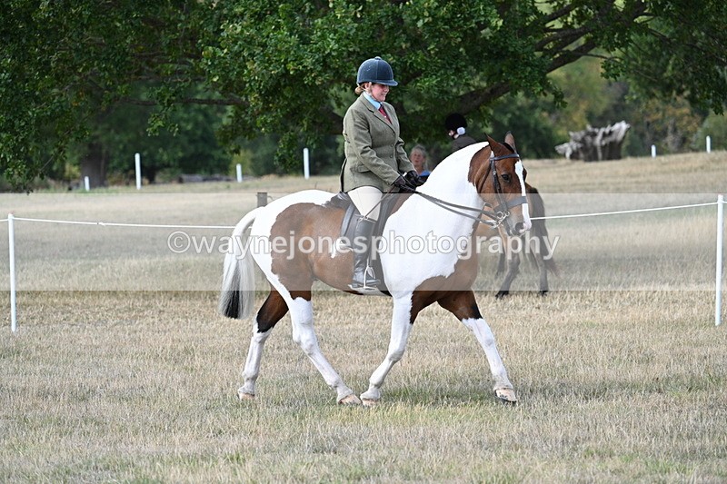 WJ7_6848 - Class 14 Ridden Coloured