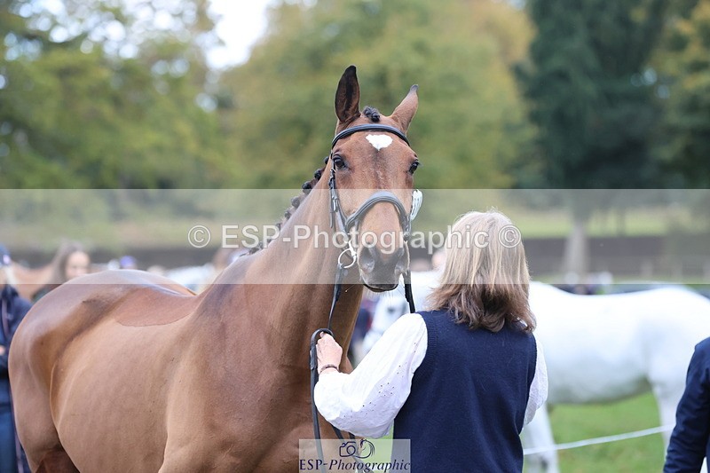 251026A-112756-25453 - G-570-Samantha.Garness