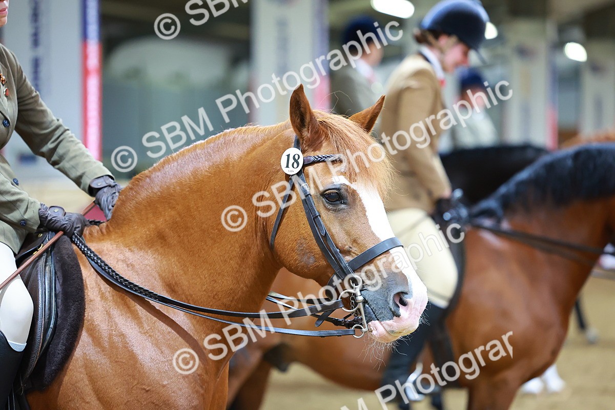 SBM_00812 - Class 6A - Ridden Pre-Vet