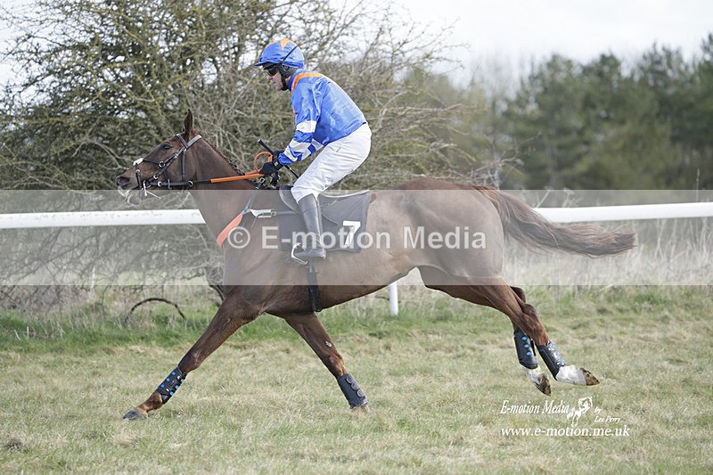 PtP 260223 561 - South & West Wilts Point-to-Point Larkhill 26/02/23