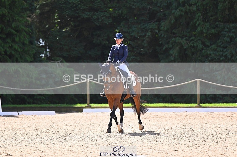 240809-111610-00541 - 133-Dawn.Bear-First.Taylor.Made