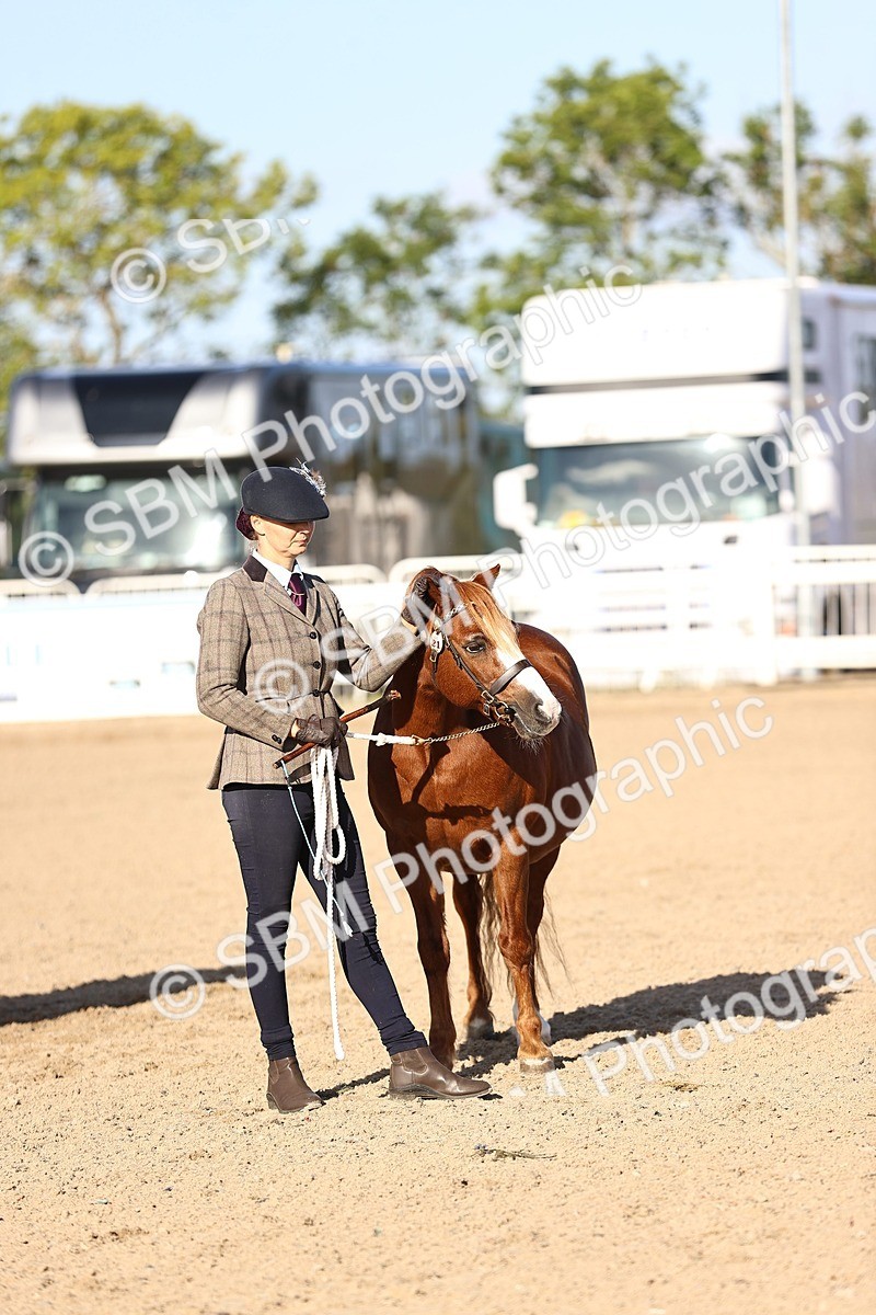 SBM_08444 - Class 402 - IH Veteran Pony