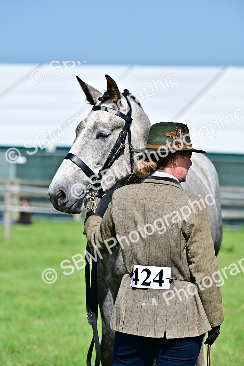 SBM_03335 - Class 50 - 54 Light Horse Breeding