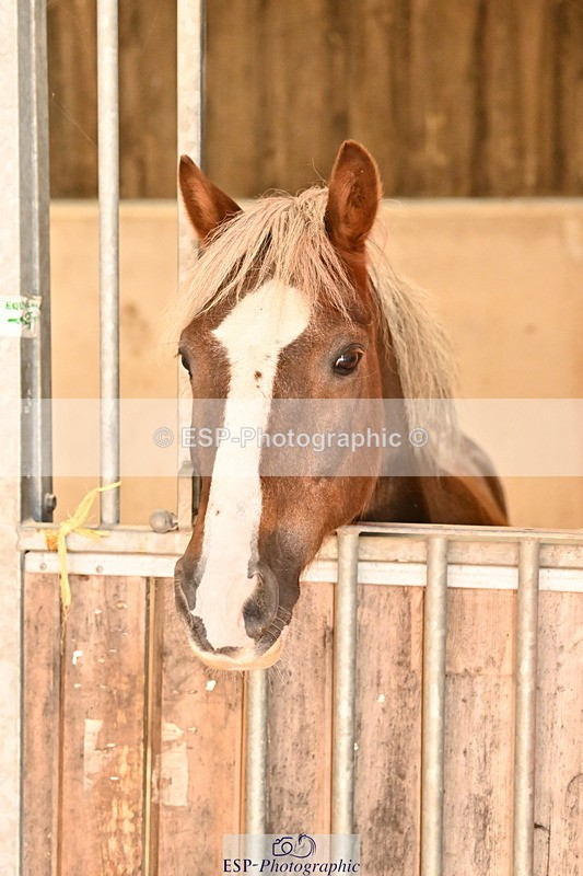 250821B-125227-00450 - Stable Shots and Group Photo