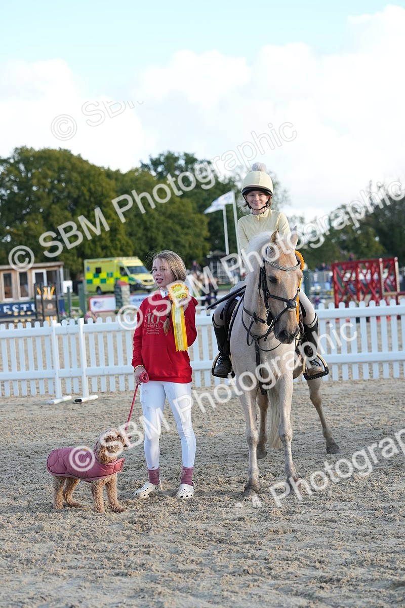 SBM_29509 - J44 - Horse & Hound Open 70cm