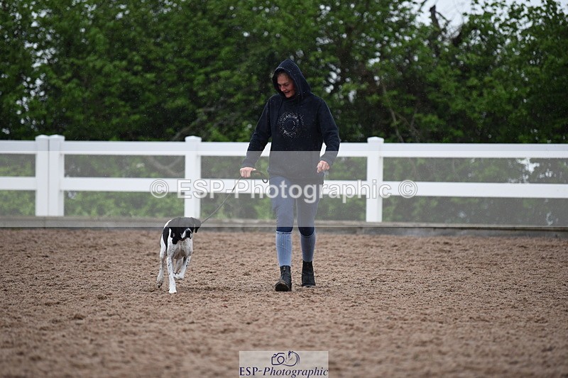 240518A-130034-01228 - Cls 6 Best Veteran