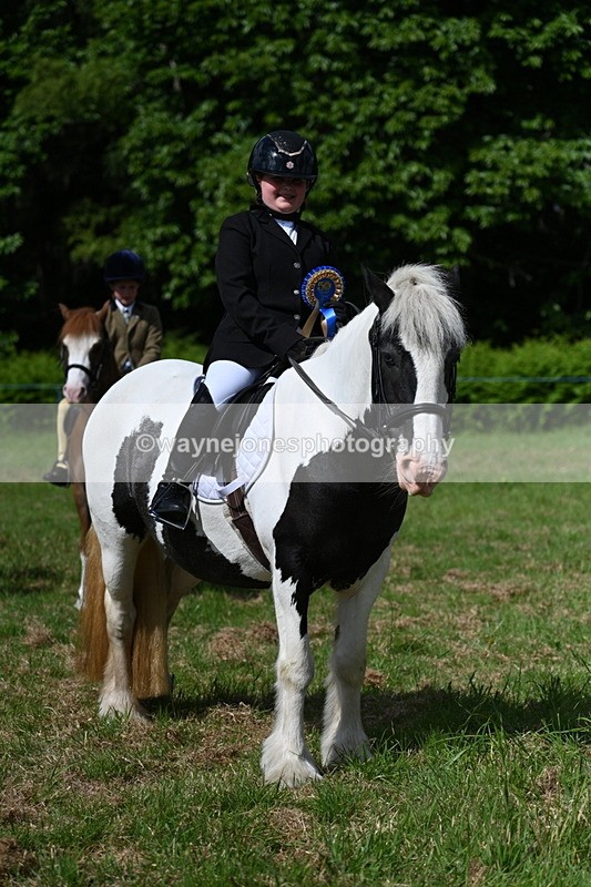WJ7_0825 - Class 8 First Rally Pony