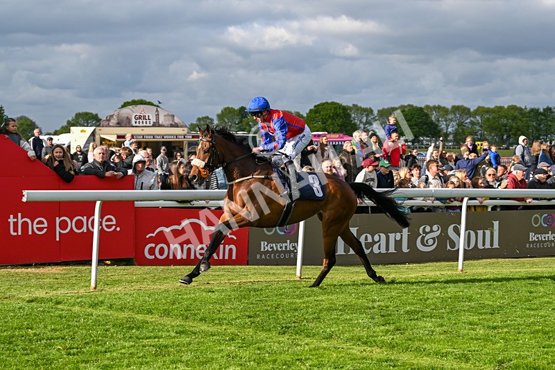 050525-Race 7-Spring Chorus-5588 - Race 7