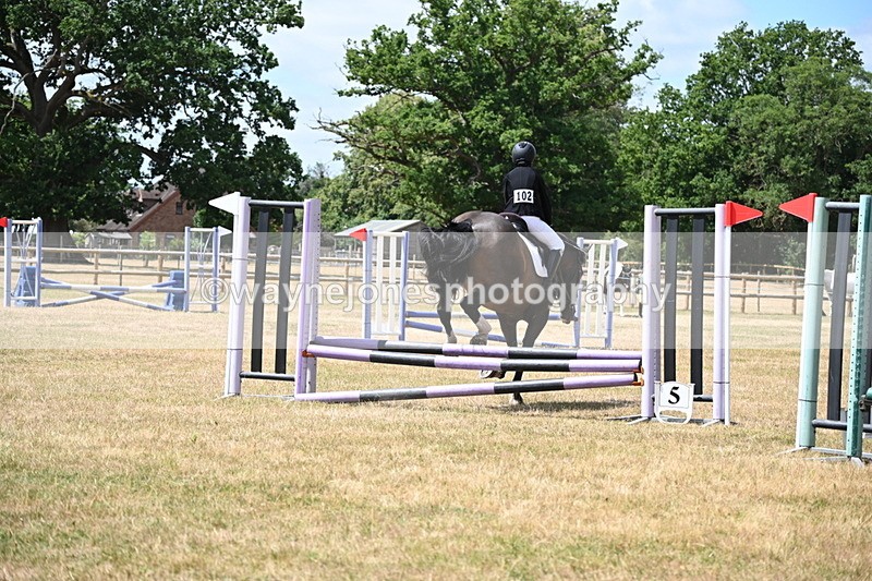 WJ6_5600 - Class 13 Novice 60cm