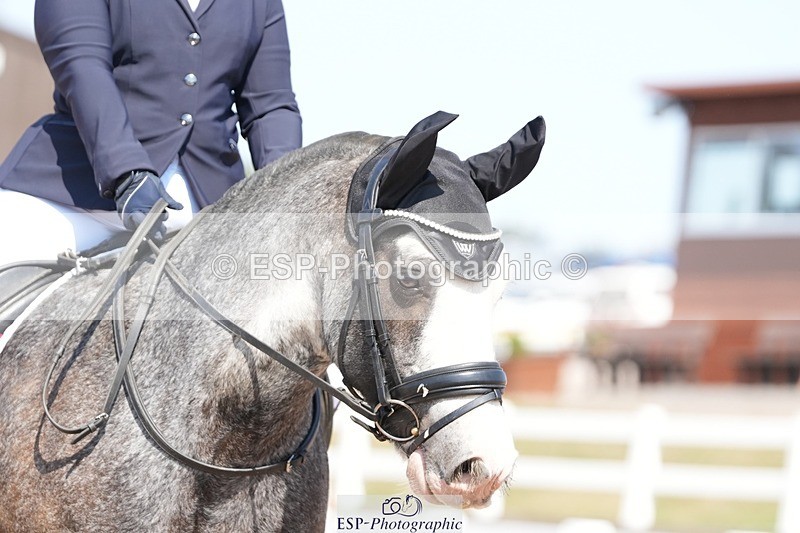 250817-142735-10958 - 055-Neve.HollowaySD.Out.of.the.Blue