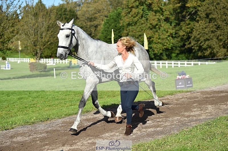 231022-112258-23925 - 557-KILBALLYBOY.SURPRISE-Courtney.Romcke-TrotUp+SJ