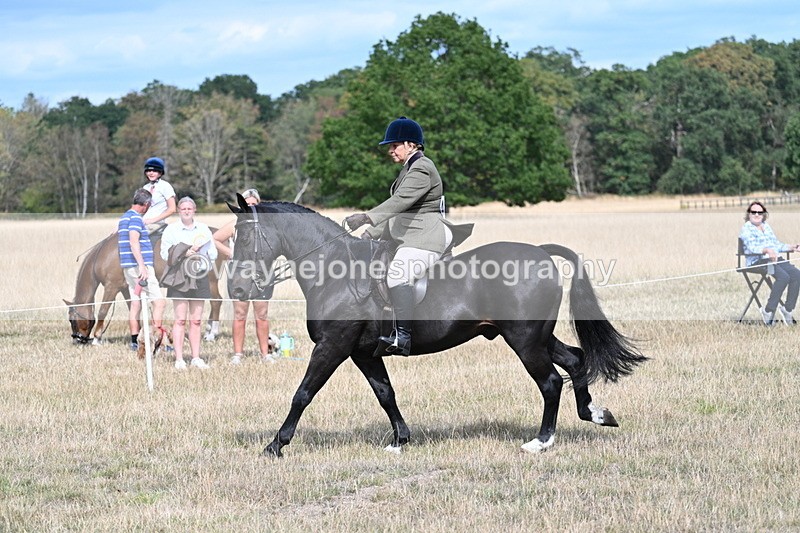 WJ7_6151 - Class 13 Ridden Veterans