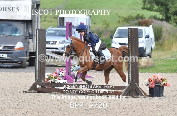 BPP_9720 - CLASS 2 Derby Show Jumping 30CM