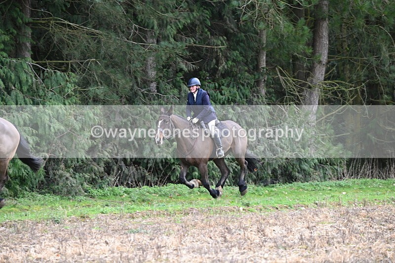 WJ6_9738 - Line Four