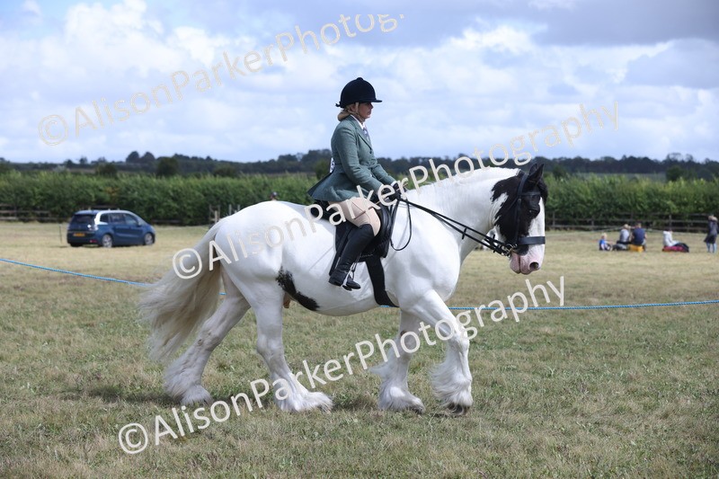 20250831-4181 - Class 20 - Ridden Coloured