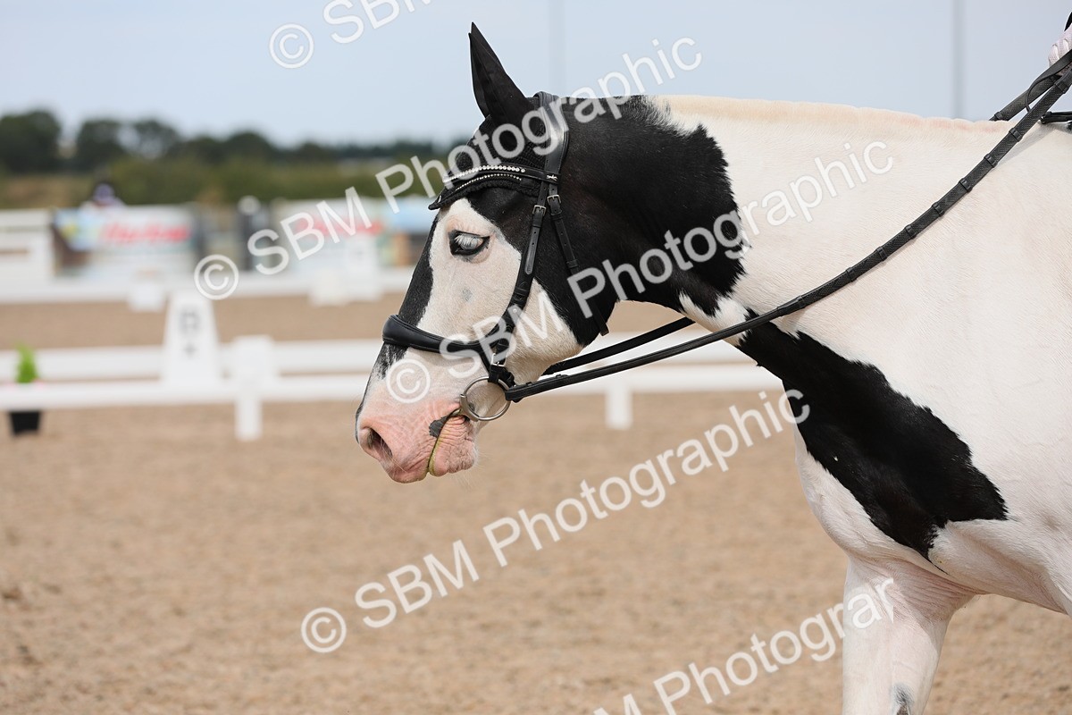 SBM_05620 - Class 32 Novice 1