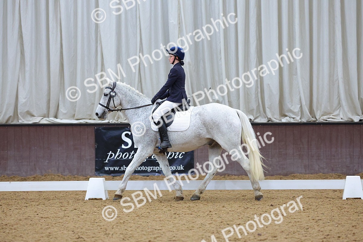 SBM_004141 - Intermediate