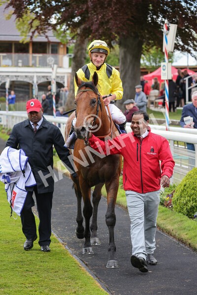yr11052022r1-31 - Race 1 1.50pm Sky Bet Race to the Ebor Jorvik Stakes