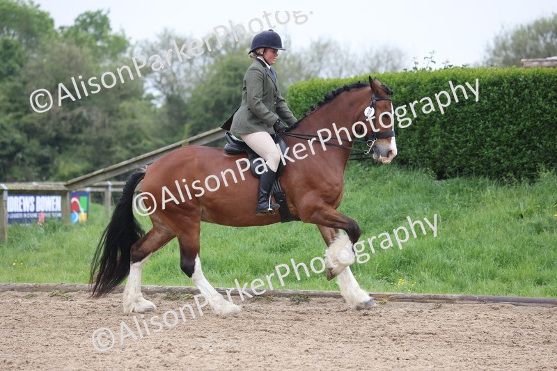 20260504-1109 - Class 14 - Cob and Hunter