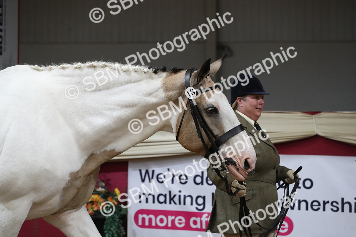 SBM_06200 - Class 9R Regional- IH Pre Vet