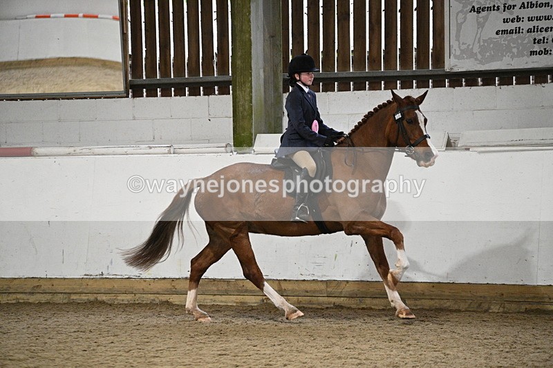 WJ7_4428 - Class 17 Ridden Cob