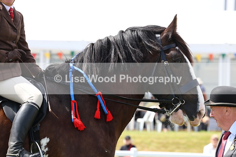 3E7A2869 - Class 13: Heavy Horse Ridden