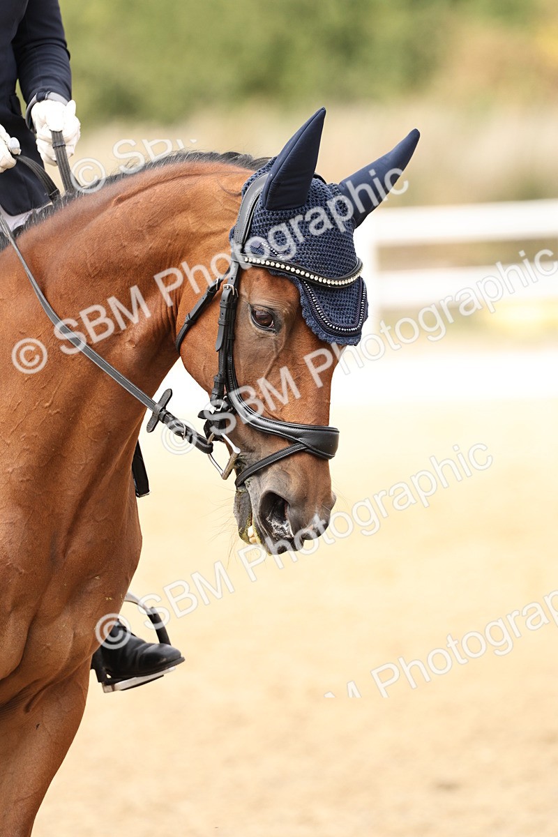 SBM_013215 - Class 3 - Novice 4 - 11.43-12.25