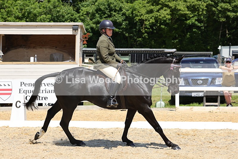 1X9A1861 - Class 12: Ridden Riding Horse/Hack
