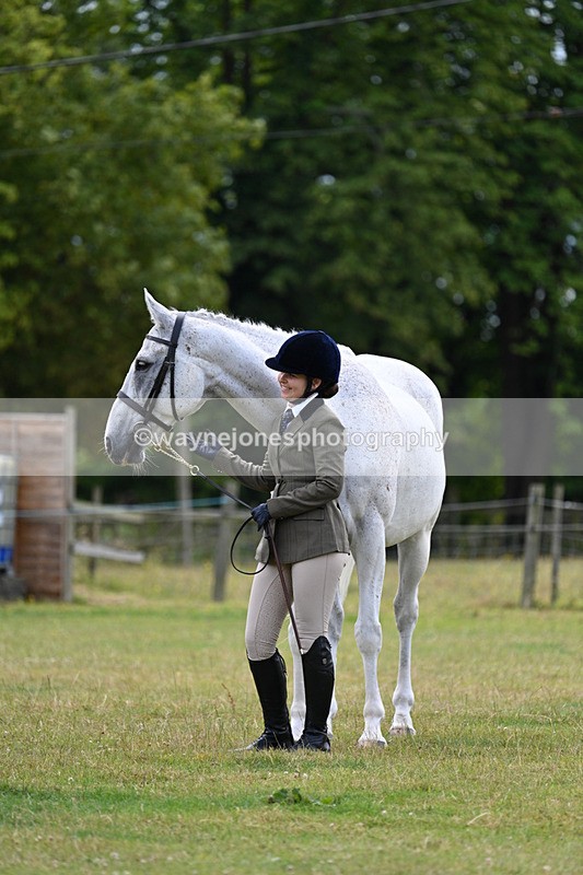 WJ7_7057 - Class 5a Most Handsome Gelding in Hand
