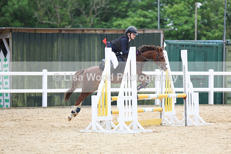 3E7A0100 - Class 13: Pony British Novice/80cm open