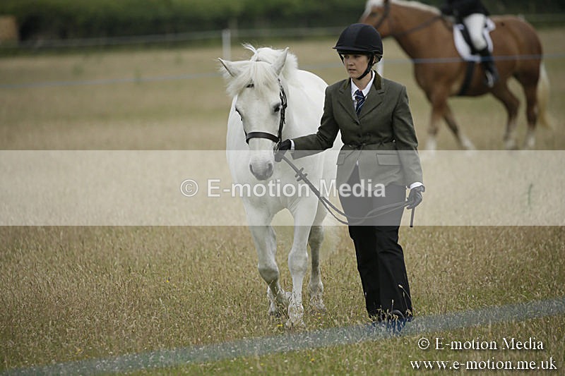 B230619-0117 - Bourne Valley Riding Club Summer Show 23/06/19