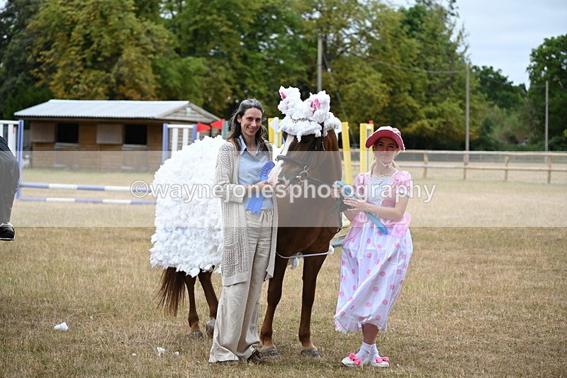 WJ6_9007 - Class 11 Fancy Dress
