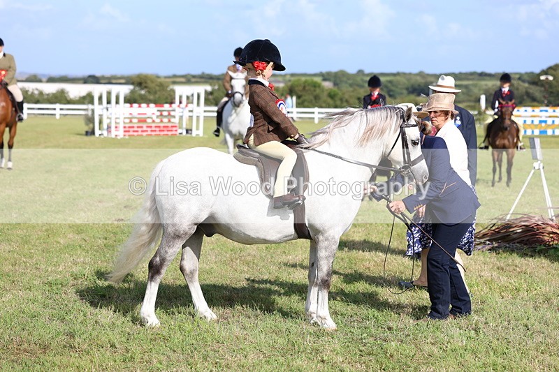 3E7A3910 - Supreme Championship