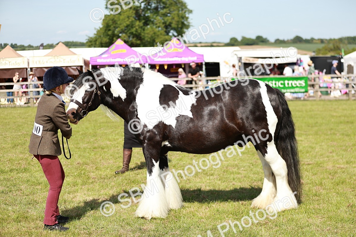 SBM_08822