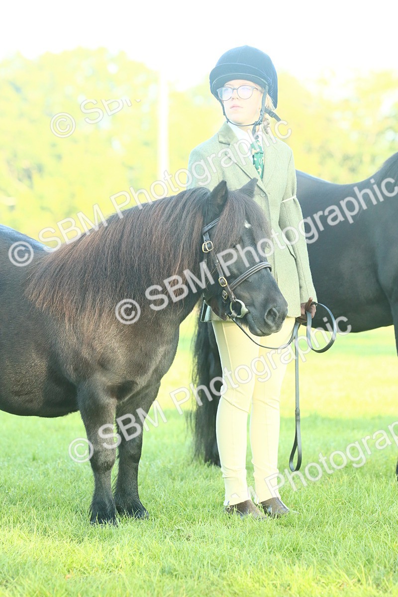 SBM_57465 - S37 - Starters In Hand Showing